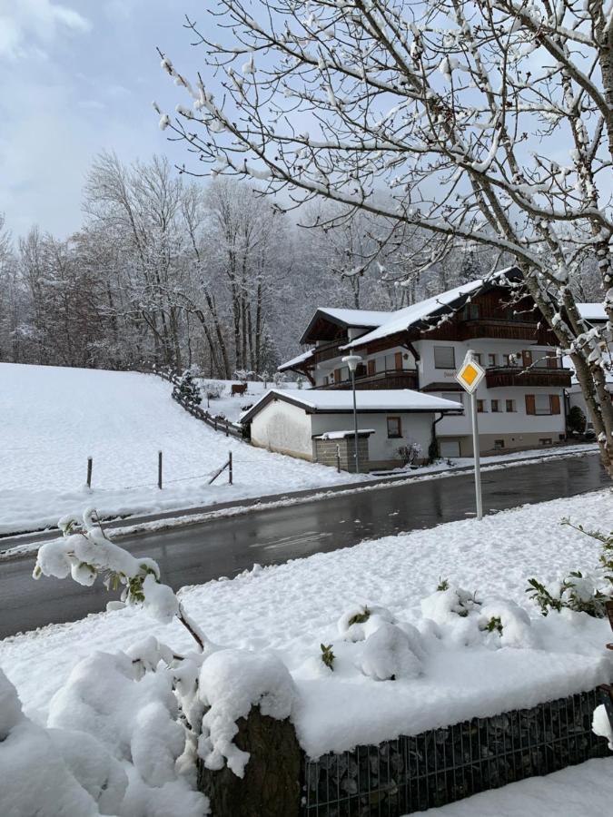 Apartment Alpenlaendischer Chic Oberstdorf